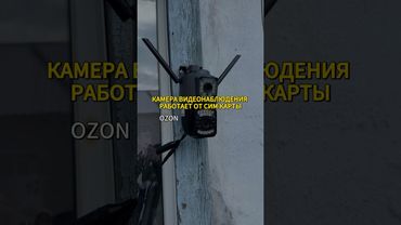 OZON Артикул #1949480007 WB #344102720