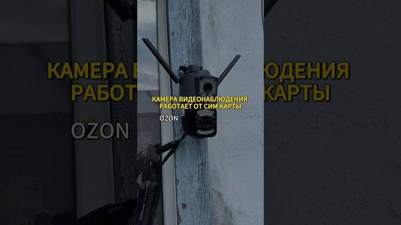 OZON Артикул #1949480007 WB #344102720