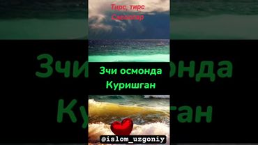 #islom #iymon #taqvo #ibrat #reels #raziyalohu anhu