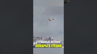 Грецию всколыхнули масштабные пожары