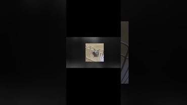 Неможливо жити без любові.