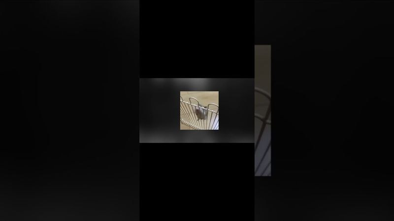 Неможливо жити без любові.