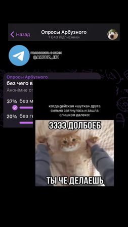 Без яего ваш друг не ваш друг? #арбузный #опросдня #опрос #shorts #мемы 