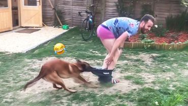 FUNNY Dog Pulls Down Pants 🤣 | Pet Bloopers!