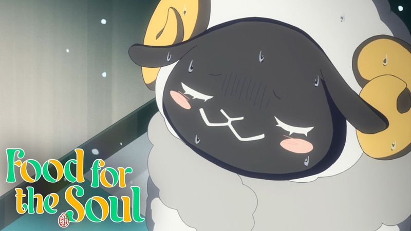 Solid Sheep | Food for the Soul