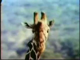 Sesame Street - Roll Call 1-20