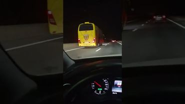 Аланские БАРСЫ /АЛАНИЯ/Донгарон/