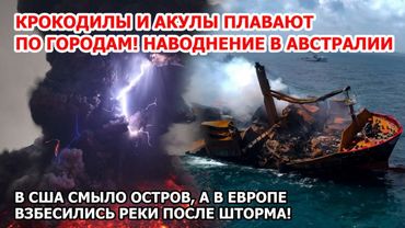 Гигантские крокодилы и акулы плавают среди людей! Наводнение Австралии. Шторм разносит США и Европу