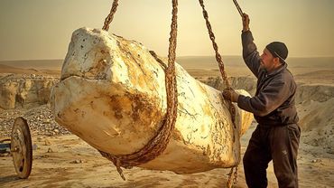 Самое тяжелое животное в истории скрывалось в пустыне