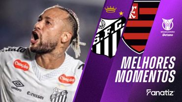 Santos 1 x 0 Flamengo I Melhores momentos I Brasileirão 2025