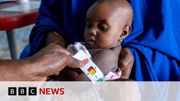 Aid cuts will push Nigerians into arms of Boko Haram militants, UN warns | BBC News