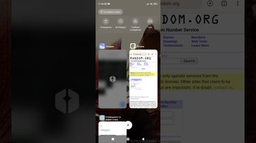 Підсумки розіграшу фігурки Шаноа