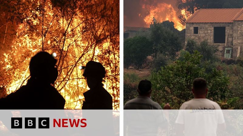 Spain and Portugal wildfires drive worst EU season on record | BBC News