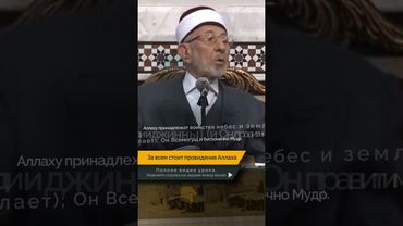 За всем стоит провидение Аллаха | Шейх Рамадан аль-Буты
