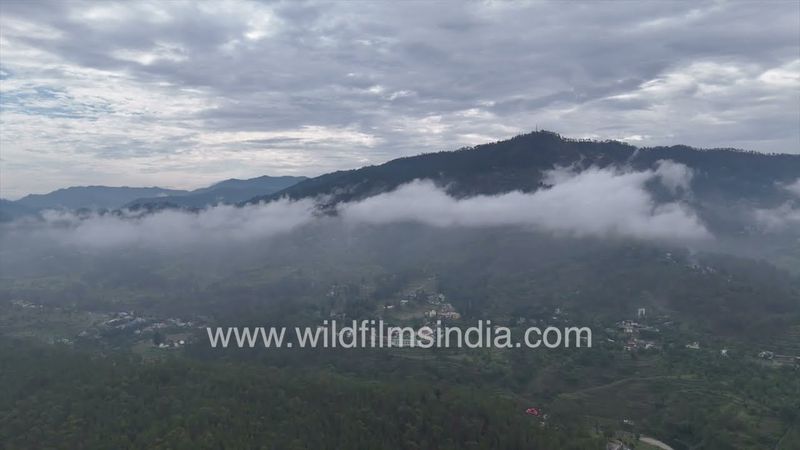 Monsoon cloud cover establishes itself: Kasar Devi Village in Almora district of Kumaon, Uttarakhand