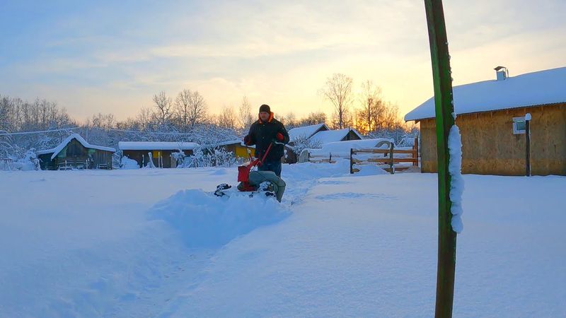 Severe snowstorms awaken animals from hibernation | Winter life of a rural farm