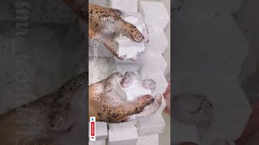 Reformed plain blocks #crushingtime #oddlysatisfying #satisfying #crunchycrumbles #plainjane #asmr