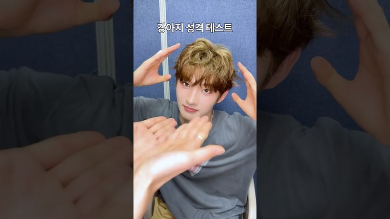 희트리버 성격 테스트! 🐶💢 #idntt #아이덴티티 #アイデンティティ#unevermet #김희주 #kimheeju