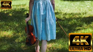 Скрипка 🎻🎻🎻 в 4К музыка для души + звуки природы релакс