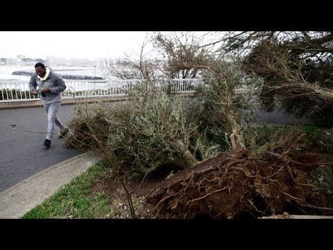 Two dead in French storms that flood streets and cause parliament roof to leak