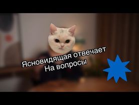 Ясновидящая отвечает на вопросы