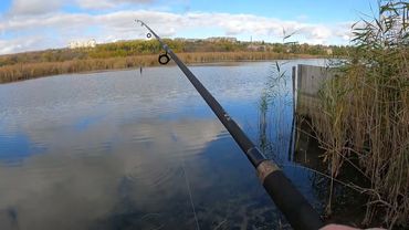 #Славянск. Немного отдыха...