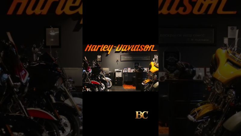 Harley-Davidson Names Topgolf Leader as New CEO