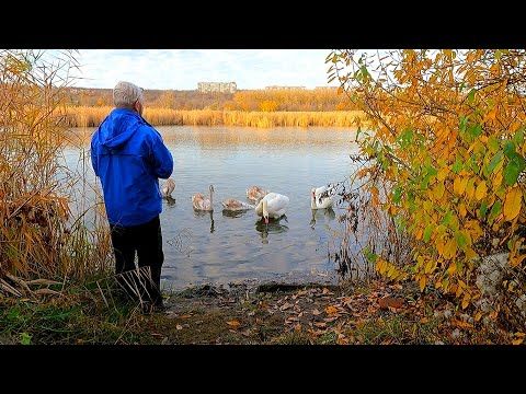 #Славянск. 4 ноября 2025г. Вечер.