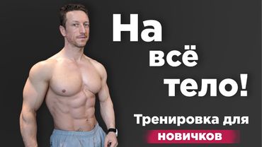Тренировка на ВСË ТЕЛО для НОВИЧКОВ! 5 Упражнений БЕЗ оборудования