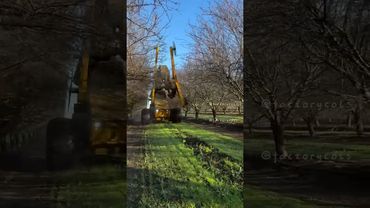 Amazing work Factories #asmr #odlysatisfying #satisfying #amazing #fyp #usa #europa #germany