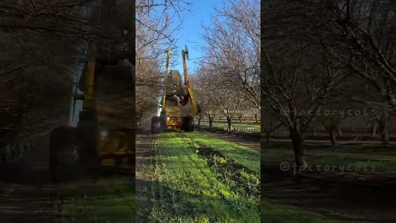 Amazing work Factories #asmr #odlysatisfying #satisfying #amazing #fyp #usa #europa #germany