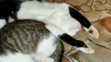 #Славянск. 3 октября 2025г. Вечер.