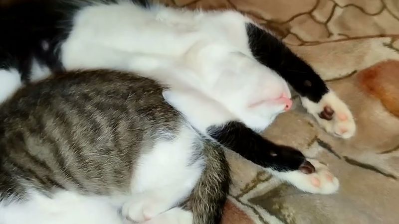 #Славянск. 3 октября 2025г. Вечер.