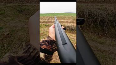 Hunting deer from mountain#hunting #deer#moose#chasse