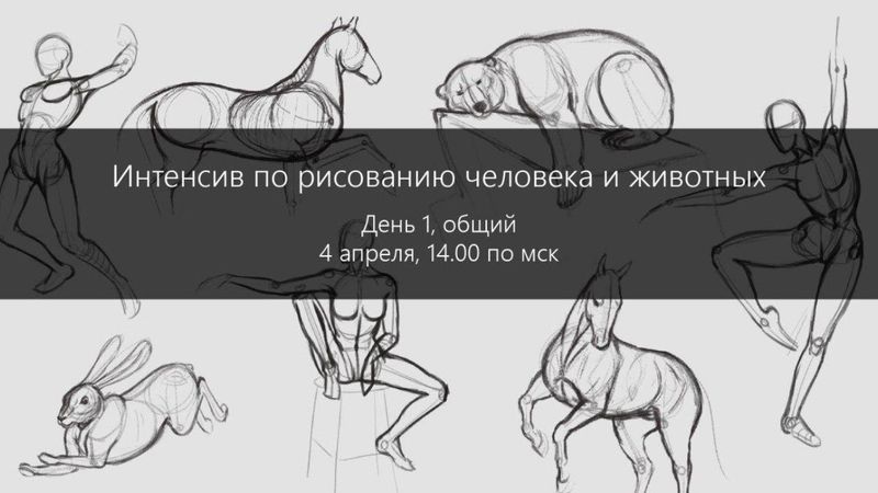 Интенсив по рисованию человека и животных, день 1