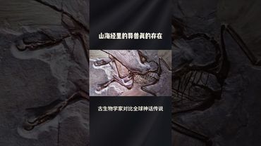 《诡异未解之谜》山海经里的怪兽真的存在？已经发现其中的骨骸！#正能量 #玄學 #诡异 #怪談 #怪事 #奇闻异事 #未解之谜 #山海经