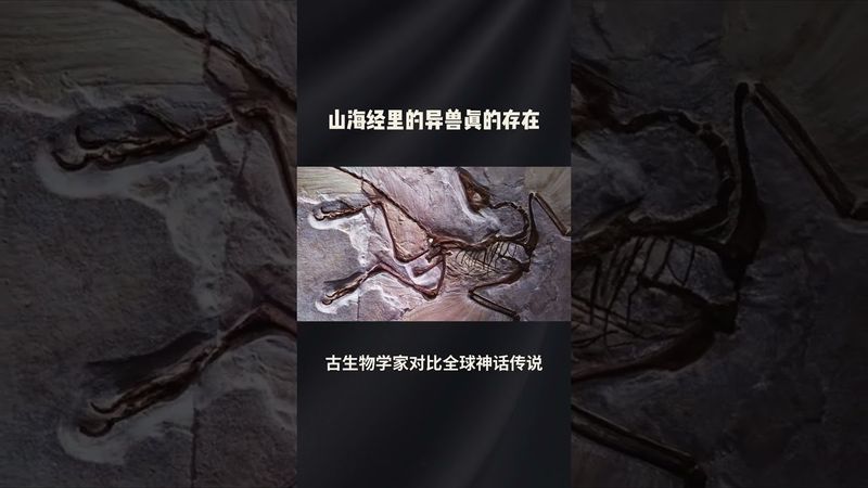 《诡异未解之谜》山海经里的怪兽真的存在？已经发现其中的骨骸！#正能量 #玄學 #诡异 #怪談 #怪事 #奇闻异事 #未解之谜 #山海经