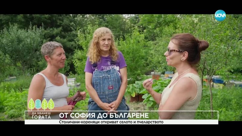 Да хванеш гората (06.07.2025)