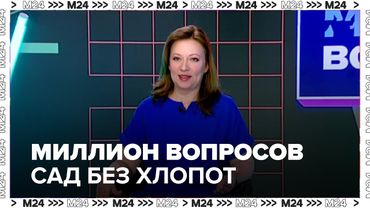 Сад без хлопот: как вырастить арбузы, бананы и красивые цветы на даче или балконе