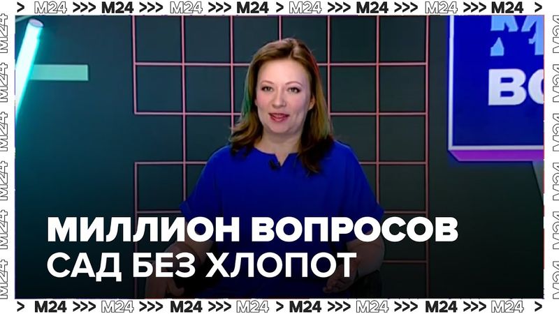 Сад без хлопот: как вырастить арбузы, бананы и красивые цветы на даче или балконе