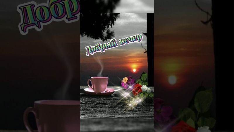 🌺•ДОБРЫЙ ВЕЧЕР ВСЕМ • Пусть вечер будет спокойным, настроение отличным•#shorts