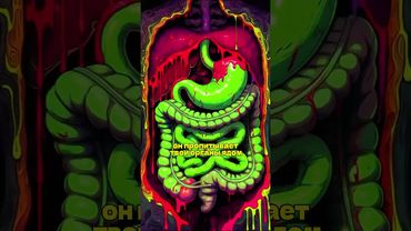 Да, они пошли на такую жертву #вайбсамурая #япония #история #научпоп #animation #3d #story