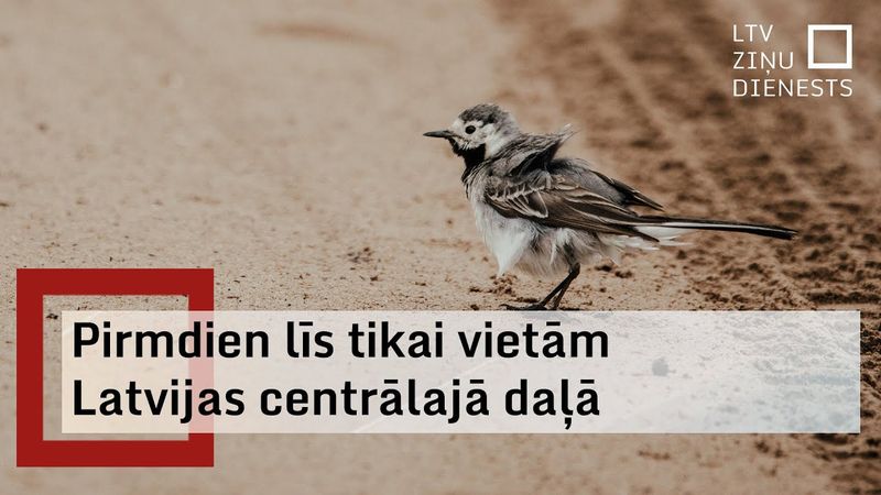 18. augusta laika ziņas