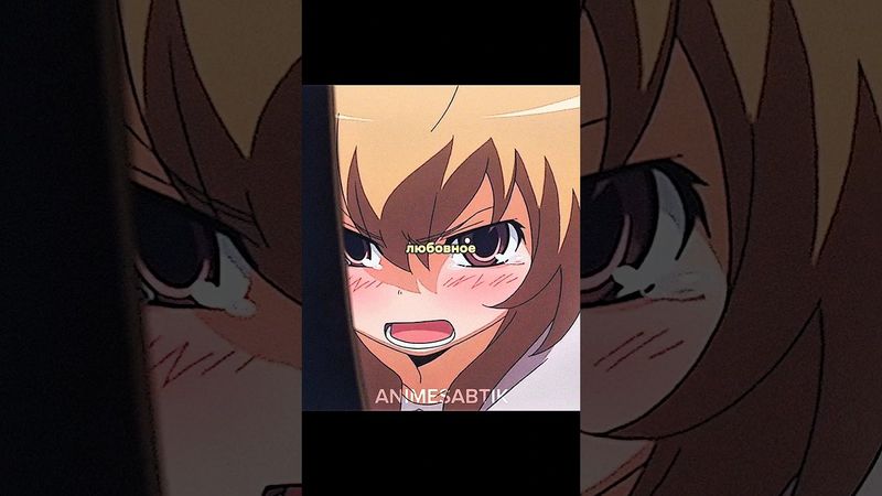 ЗРЯ ПРОНИКЛА К НЕМУ ДАМОЙ 🥰☺️ | Торадора | #аниме #анимемомент