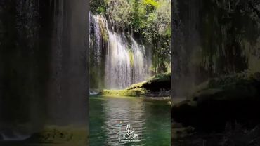 طـلـّو حـبـابـنـا طـلـّو ونـسّـم يـا هـوا بـلادي #الزمن_الجميل #معين_شريف #وديع_الصافي #طرب