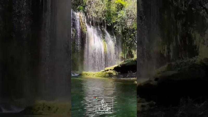 طـلـّو حـبـابـنـا طـلـّو ونـسّـم يـا هـوا بـلادي #الزمن_الجميل #معين_شريف #وديع_الصافي #طرب