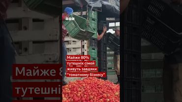 А ви б долучилися до них? #shorts #фестиваль #помідори #колумбія #розваги