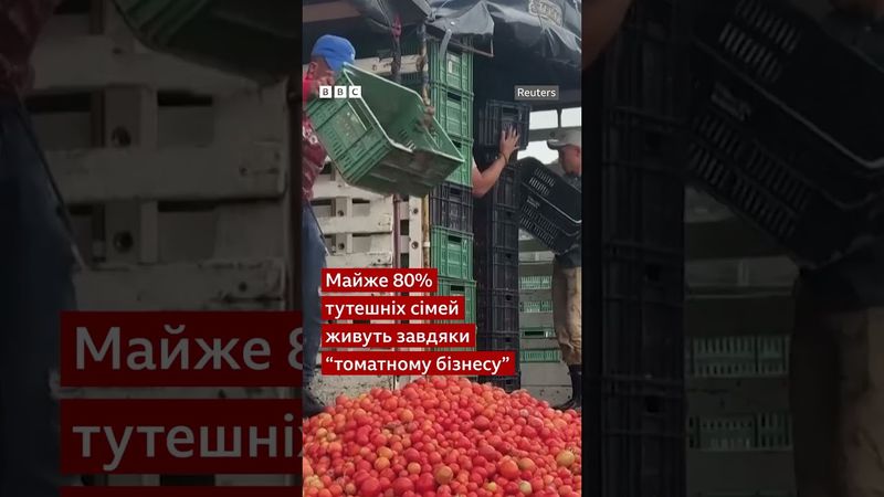 А ви б долучилися до них? #shorts #фестиваль #помідори #колумбія #розваги