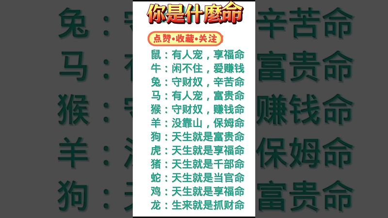 【十二生肖特點：你是什麼命!】看了，轉發分享好運來！#生肖 #財運 #運勢 #屬相 #風水 #命理