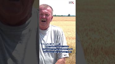 Počela žetva ječma: Poizvođači zabrinuti zbog niske otkupne cijene